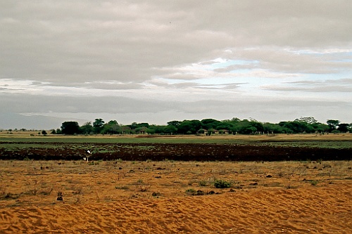 Kenia (428)